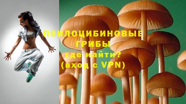 mdpv Волоколамск