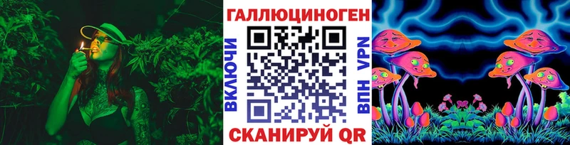 Галлюциногенные грибы Psilocybe  Кашира 